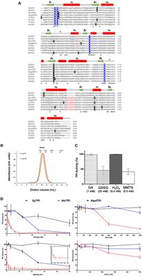 Structural Basis for the Limited Response to Oxidative and Thiol-Conjugating Agents by Triosephosphate Isomerase From the Photosynthetic Bacteria Synechocystis